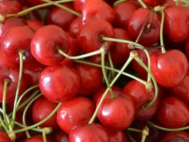Análisis de precios y vigencia de cerezas en almíbar en supermercados: Lidl, Mercadona, Carrefour y Aldi